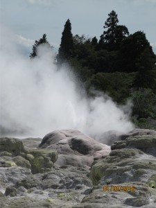 Geysir in Te Puia, Rotorua